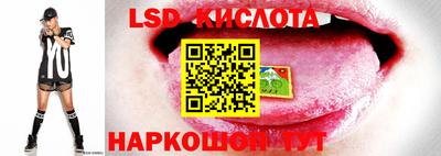 таблы Будённовск