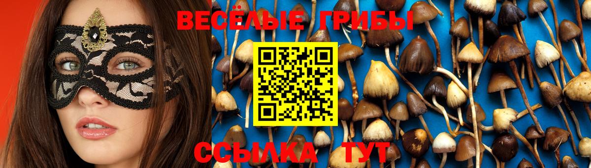 Псилоцибиновые грибы Psilocybine cubensis Сертолово